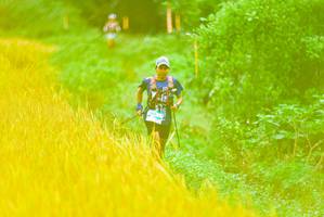 BIB: 
                            <button type="button" onclick="openModal(13455437)" class="btn btn-primary btn-sm float-right btn-popup" data-toggle="modal" data-target=".modal-high-quality">
                        <i class="fas fa-shopping-cart"></i> Add to Cart
                    </button>
                                            <button type="button" onclick="isThisMe(13455437, true)" class="btn btn-success btn-sm float-right btn-popup btn-isme hidden" data-toggle="tooltip" data-placement="bottom" title="นี่คือรูปของคุณใช่ไหม คลิกที่นี่เพื่อเอาเข้าอัลบั้ม">
                        <i class="fas fa-plus"></i> Add to album
                    </button>
                    <button type="button" onclick="isThisMe(13455437, false)" class="btn btn-warning btn-sm float-right btn-popup btn-isnotme hidden">
                        <i class="fas fa-ban"></i> Remove from album
                    </button>